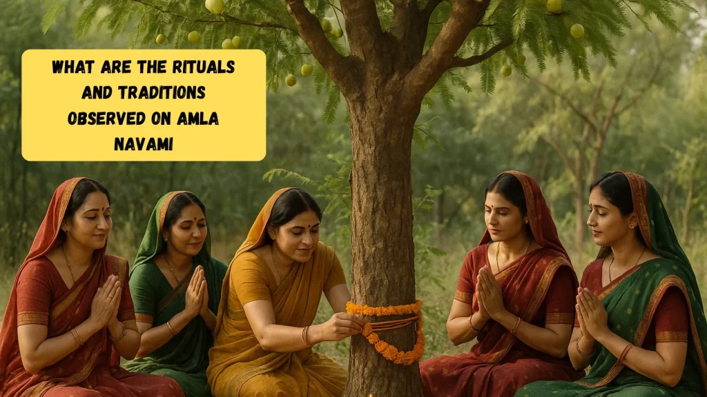 What Are The Rituals And Traditions Observed On Amla Navami ritual-and-traditions