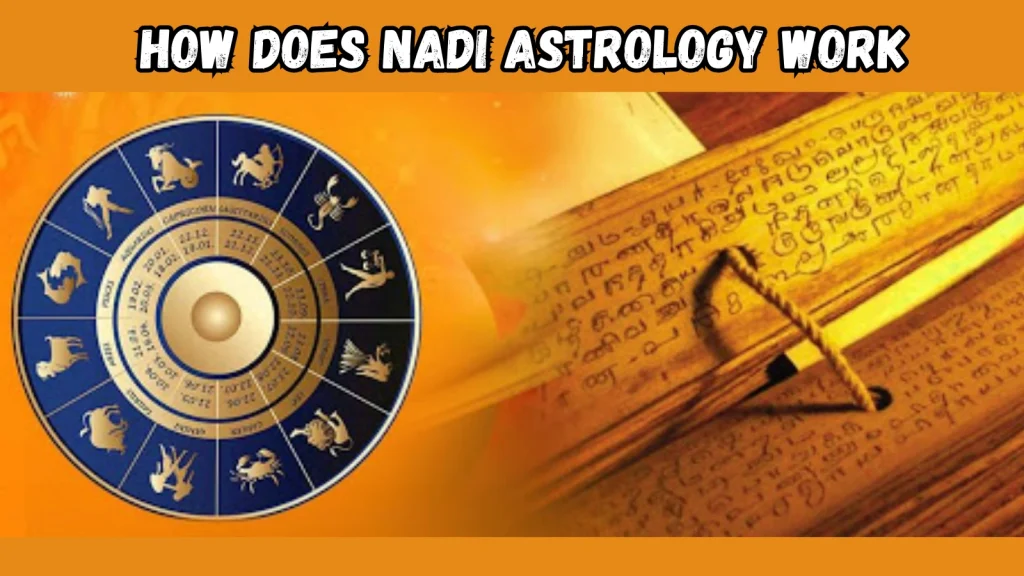 How Does Nadi Astrology Work? nadi-astrology